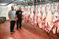  فيديو: المرحلة الثانية - جمعية يافا تذبح 30 عجلاً ضمن مشروع إحياء سنة الأضاحي 